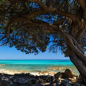 https://la-ginestra.in-sardinia.net
